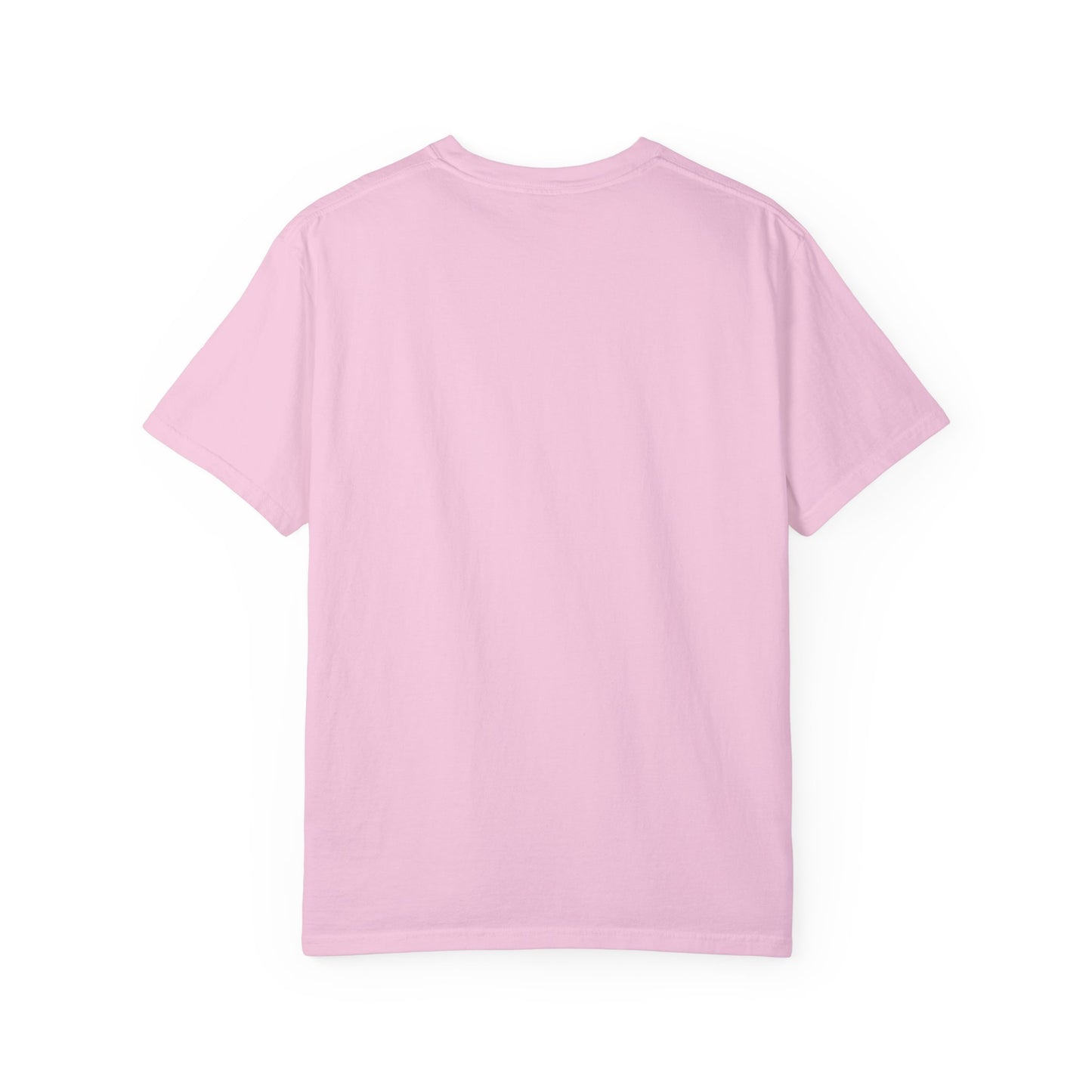 Graduation Owl Unisex Garment-Dyed T-shirt - Celebrate Owlsome Day!