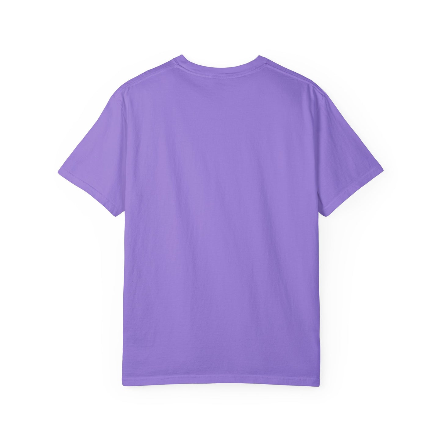 Graduation Owl Unisex Garment-Dyed T-shirt - Celebrate Owlsome Day!
