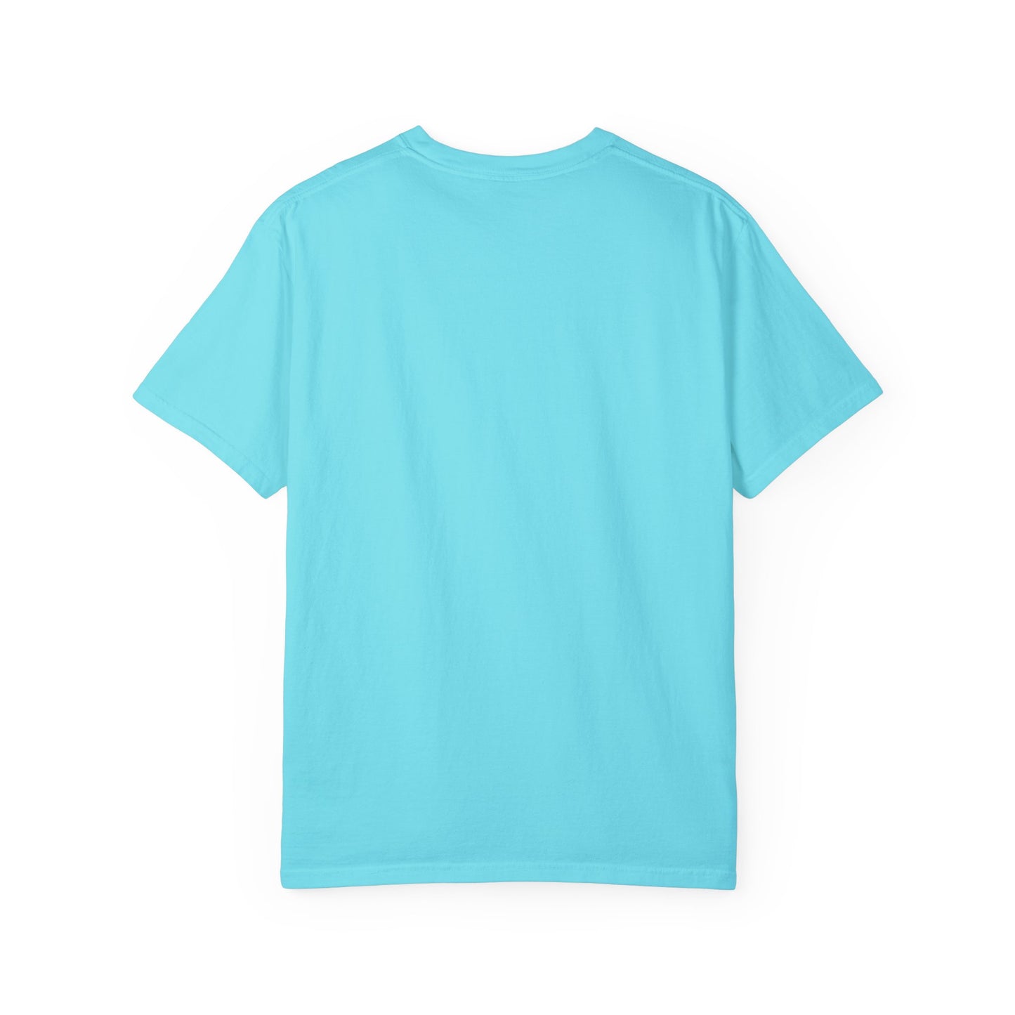 Graduation Owl Unisex Garment-Dyed T-shirt - Celebrate Owlsome Day!
